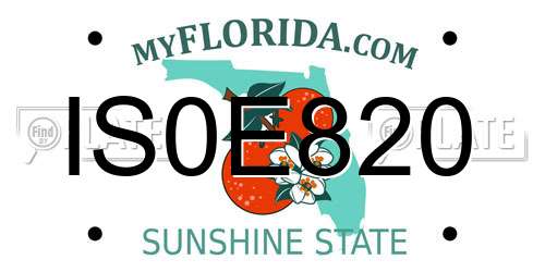 IS0E820 Florida License Plate