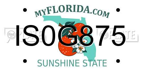 IS0G875 Florida License Plate