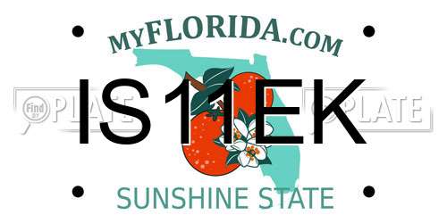 IS11EK Florida License Plate
