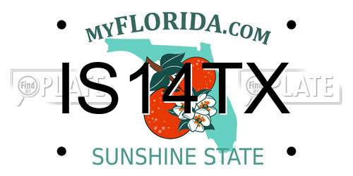 IS14TX Florida License Plate