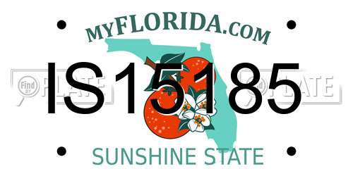 IS15185 Florida License Plate
