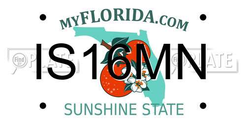 IS16MN Florida License Plate