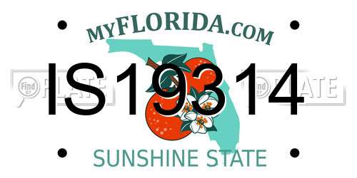 IS19314 Florida License Plate