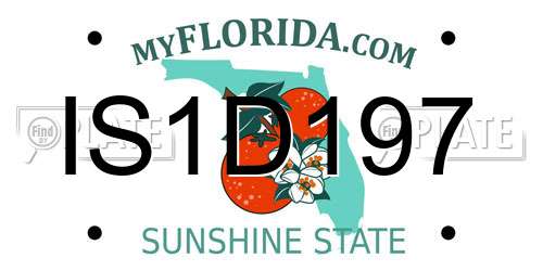 IS1D197 Florida License Plate