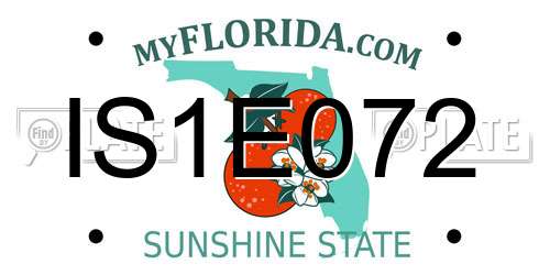 IS1E072 Florida License Plate