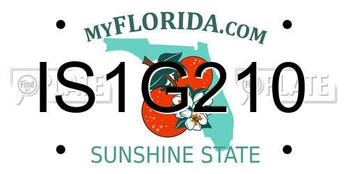 IS1G210 Florida License Plate