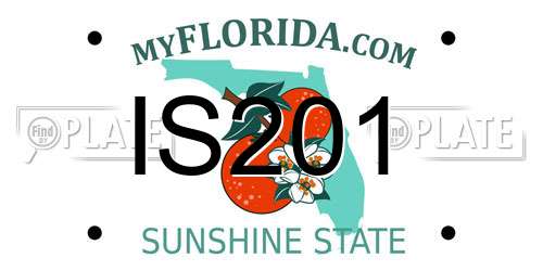 IS201 Florida License Plate