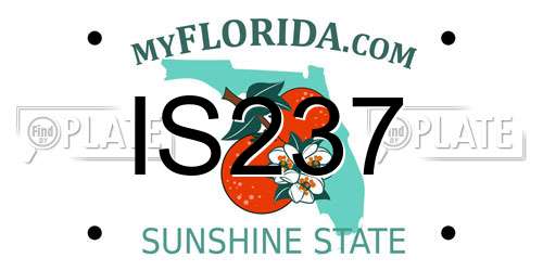 IS237 Florida License Plate
