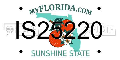 IS25220 Florida License Plate