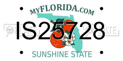 IS25728 Florida License Plate