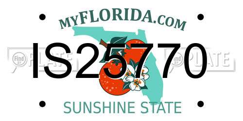 IS25770 Florida License Plate