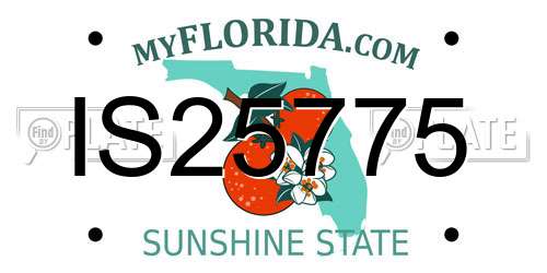 IS25775 Florida License Plate