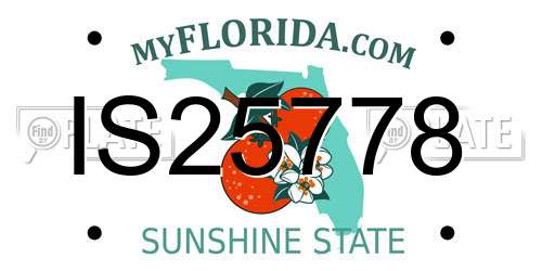 IS25778 Florida License Plate