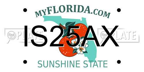 IS25AX Florida License Plate