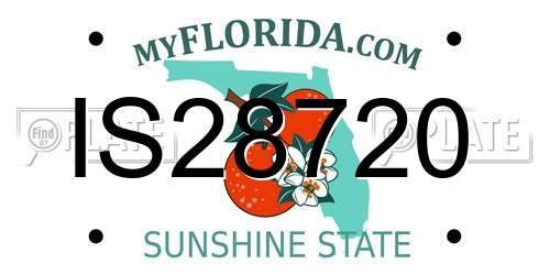 IS28720 Florida License Plate