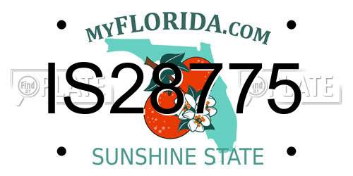 IS28775 Florida License Plate