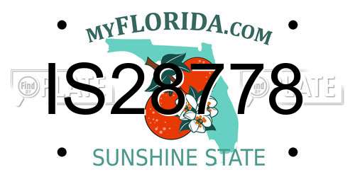 IS28778 Florida License Plate