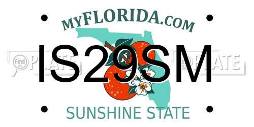 IS29SM Florida License Plate