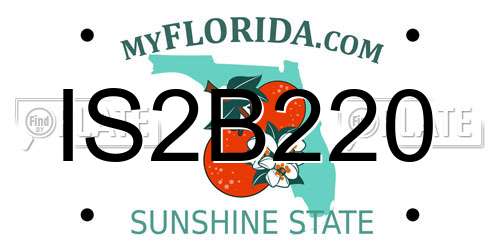 IS2B220 Florida License Plate