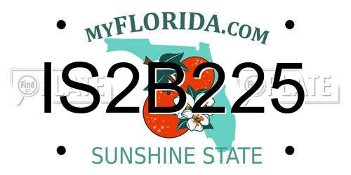 IS2B225 Florida License Plate