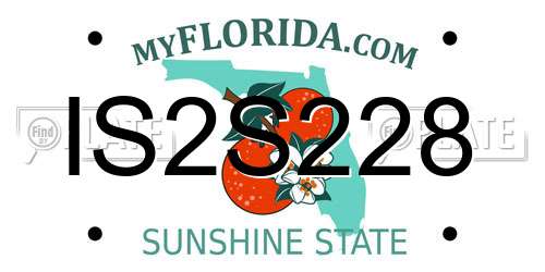 IS2S228 Florida License Plate