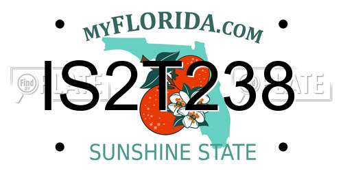 IS2T238 Florida License Plate