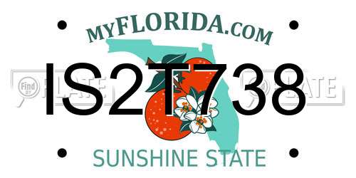 IS2T738 Florida License Plate