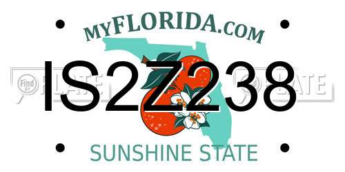 IS2Z238 Florida License Plate