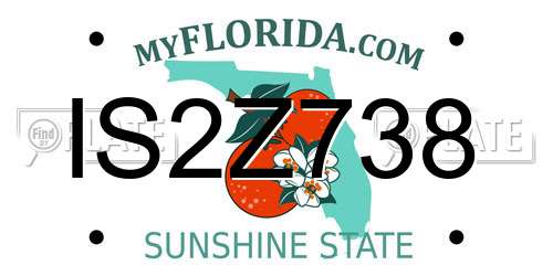 IS2Z738 Florida License Plate