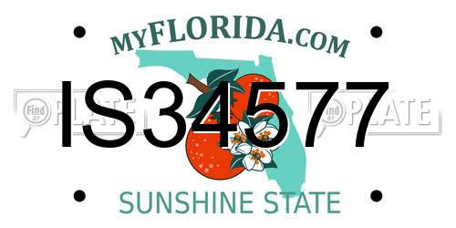 IS34577 Florida License Plate