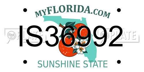 IS36992 Florida License Plate