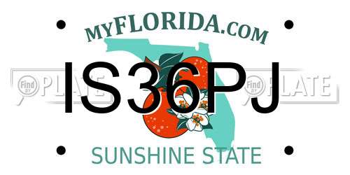 IS36PJ Florida License Plate