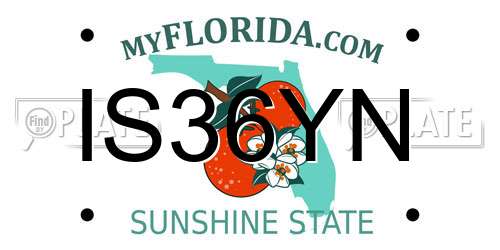 IS36YN Florida License Plate