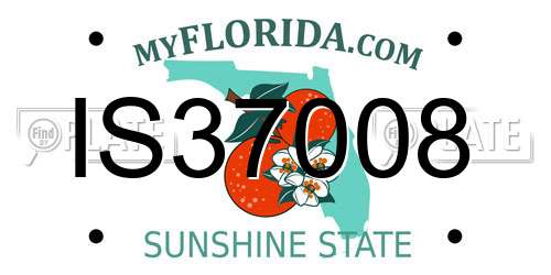 IS37008 Florida License Plate