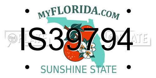 IS39794 Florida License Plate
