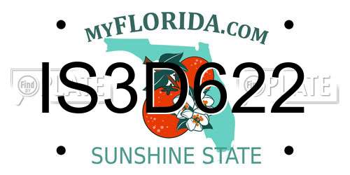 IS3D622 Florida License Plate