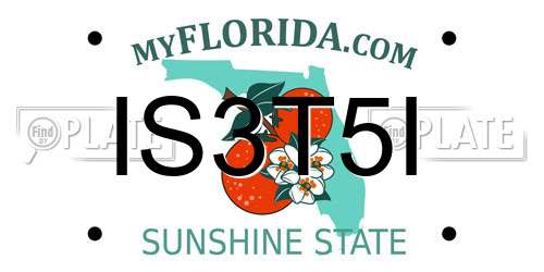 IS3T5I Florida License Plate