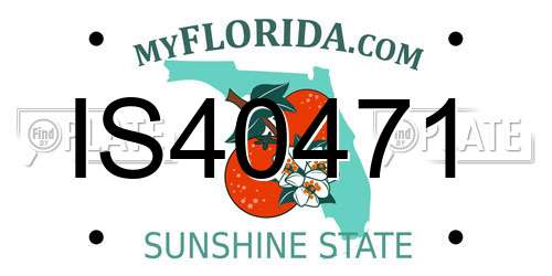 IS40471 Florida License Plate