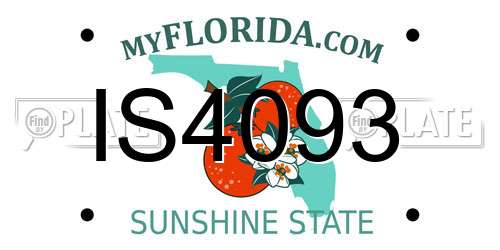 IS4093 Florida License Plate