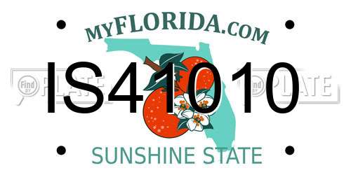 IS41010 Florida License Plate