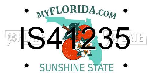 IS41235 Florida License Plate