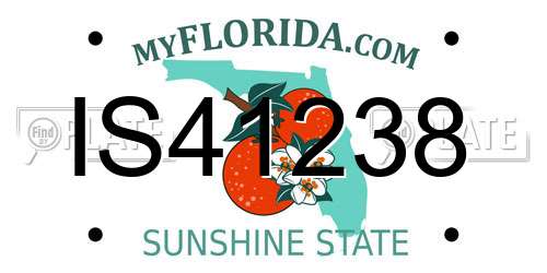 IS41238 Florida License Plate