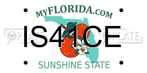 IS41CE Florida License Plate