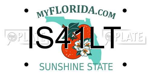IS41LT Florida License Plate