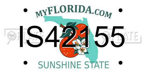 IS42155 Florida License Plate