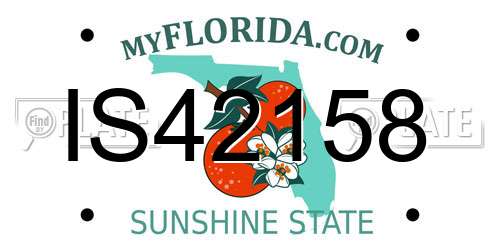IS42158 Florida License Plate