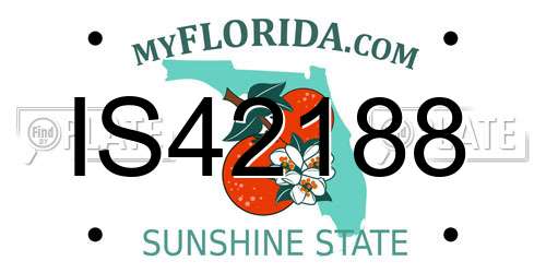 IS42188 Florida License Plate