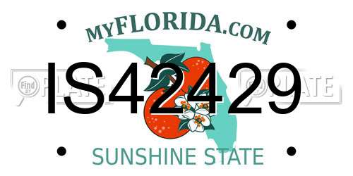 IS42429 Florida License Plate