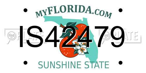 IS42479 Florida License Plate