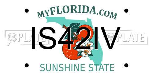 IS42IV Florida License Plate